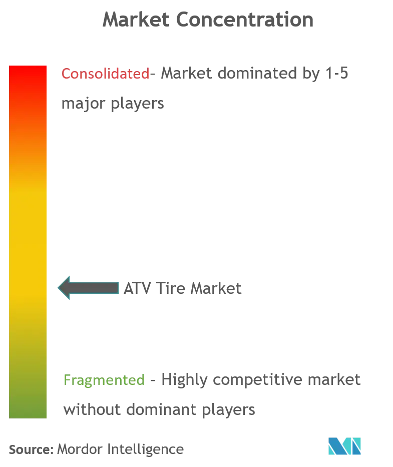 All-Terrain Vehicle Tire Market Concentration ATV Tire Market_Market Concentration.png