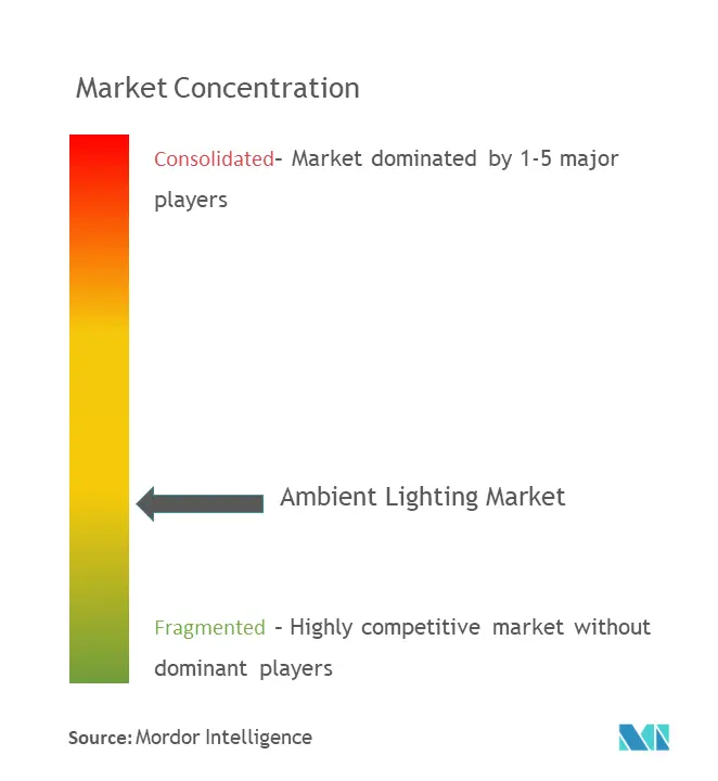 Ambient Lighting Market Concentration Ambient Lighting Market Concentration