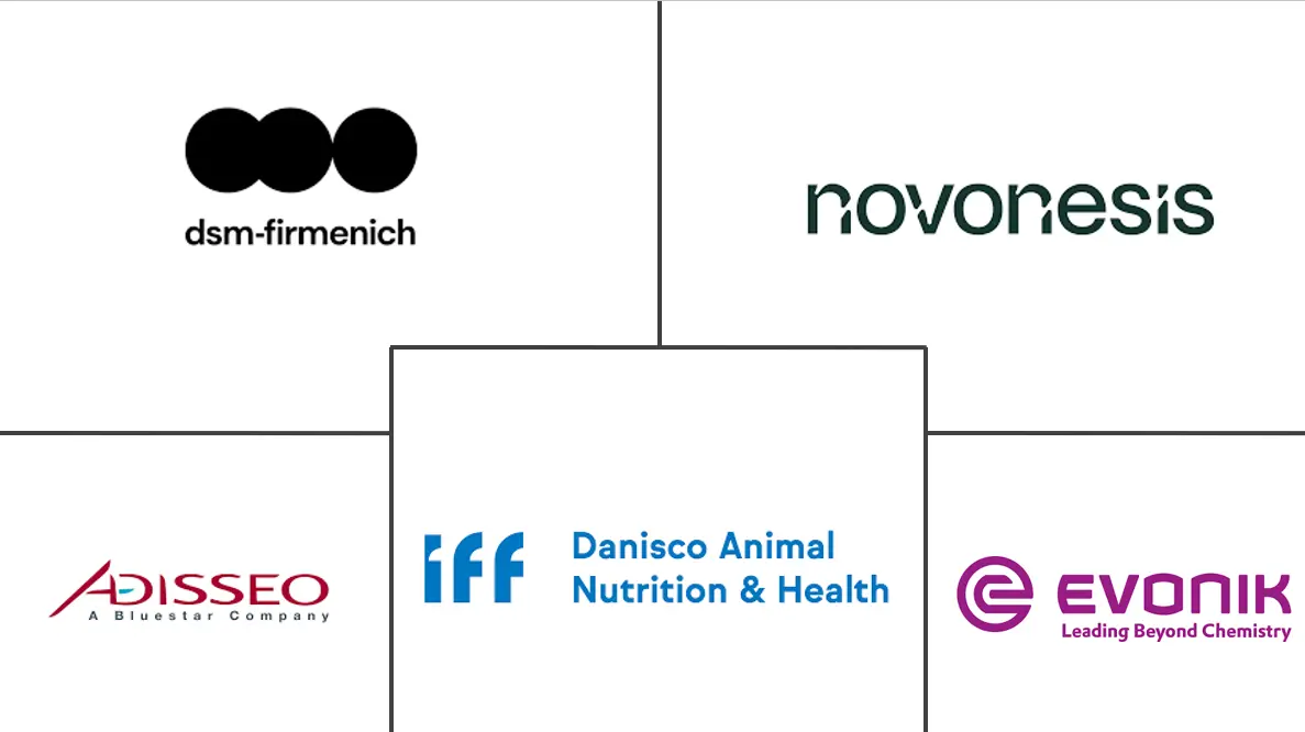 Related Companies Logo