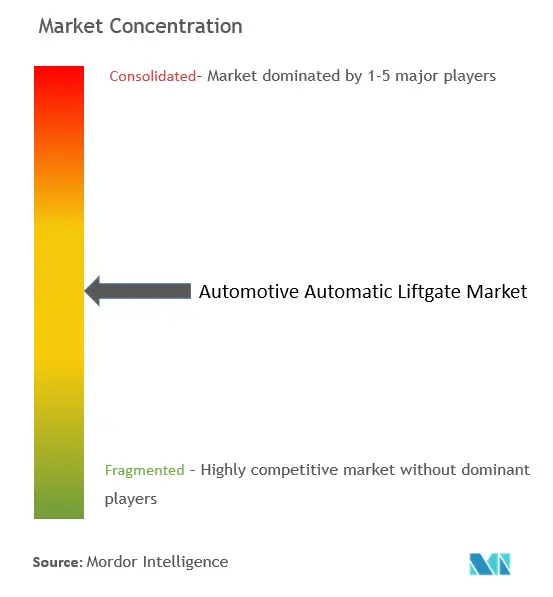 Automotive Automatic Liftgate Market Concentration Automotive Automatic Liftgate Market Concentration