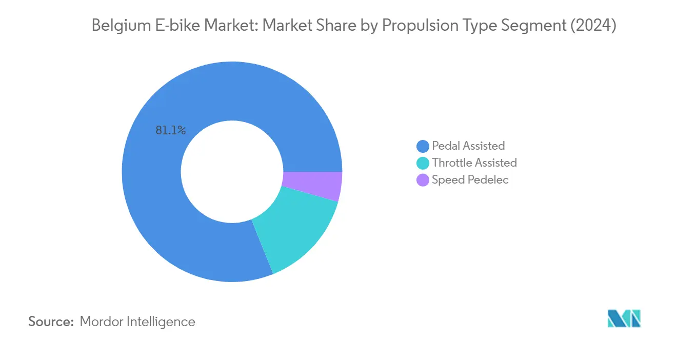 Market Analysis of Belgium E-bike Market: Chart for Propulsion Type