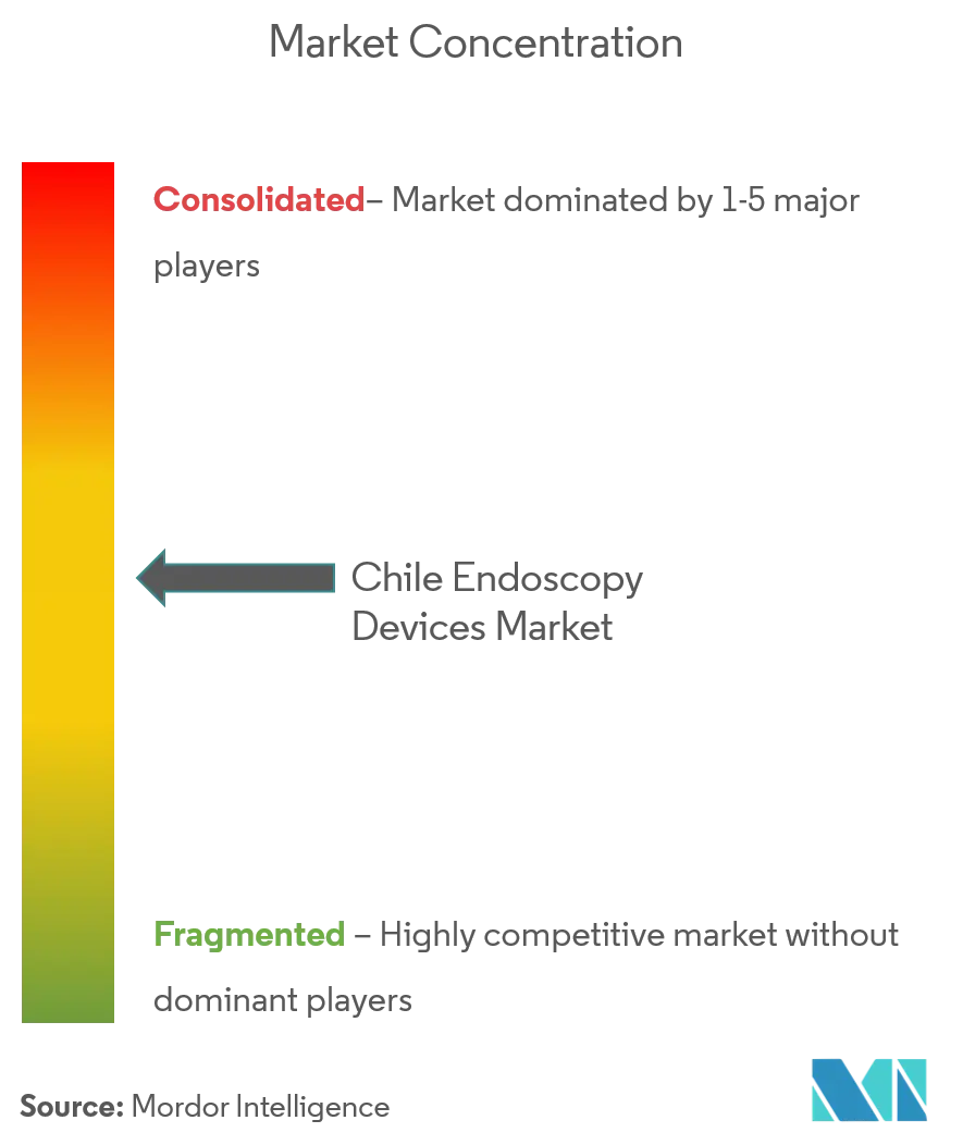 Chile Endoscopy Devices Market Concentration chile endo.png