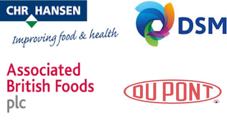 Related Companies Logo