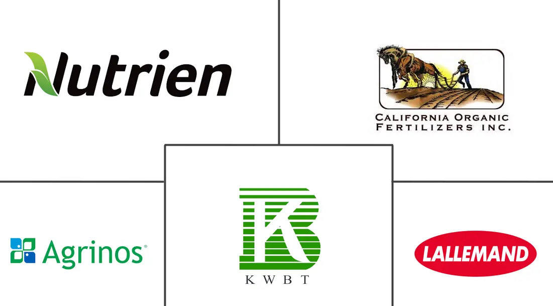 Related Companies Logo