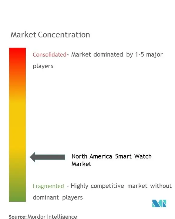 North America Smart Watch Market Concentration North America Smart Watch Market Concentration