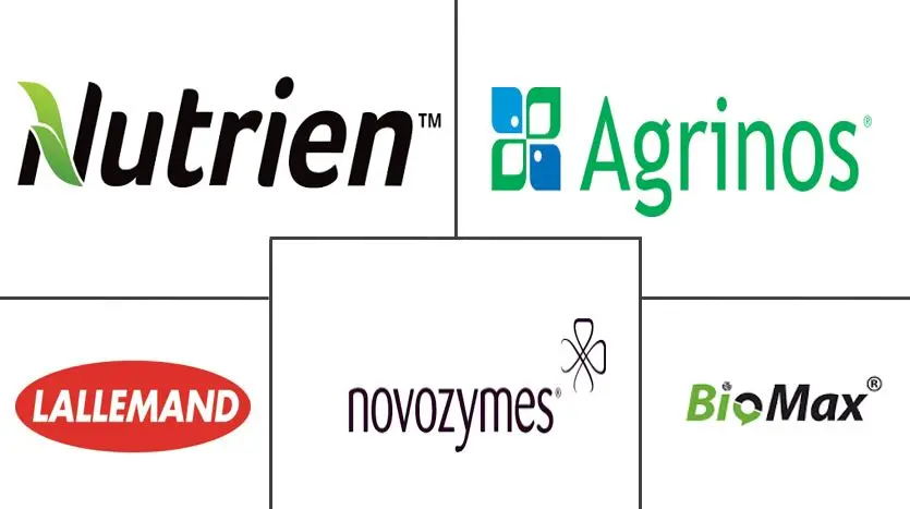 Related Companies Logo